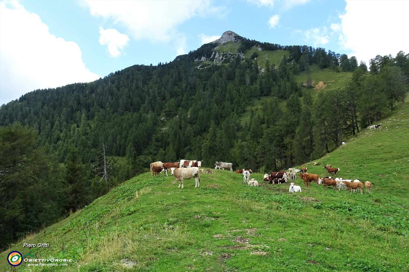 42 La cima del Pizzo Badile mi aspetta.JPG
